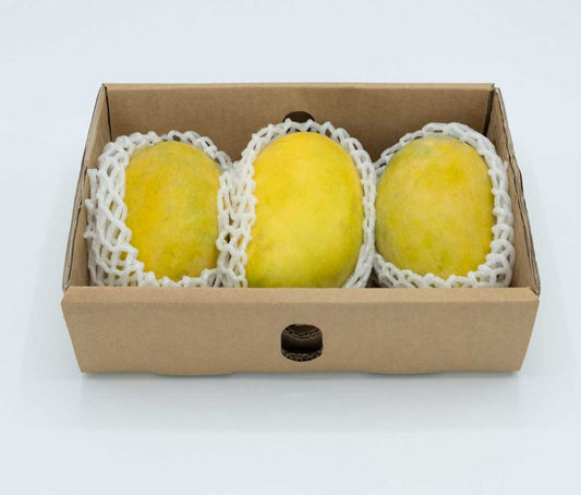 Premium Chaunsa mangoes in export box from Pakistan by Multango