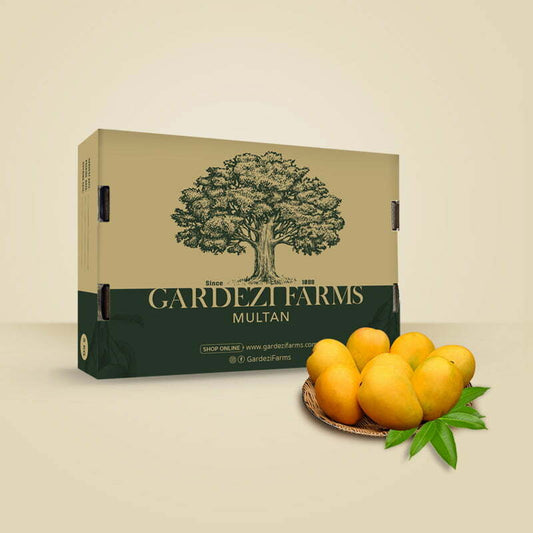 Premium Anwar Ratol mangoes in export packaging by Multango
